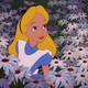 Illustration for article titled Alice, as Always